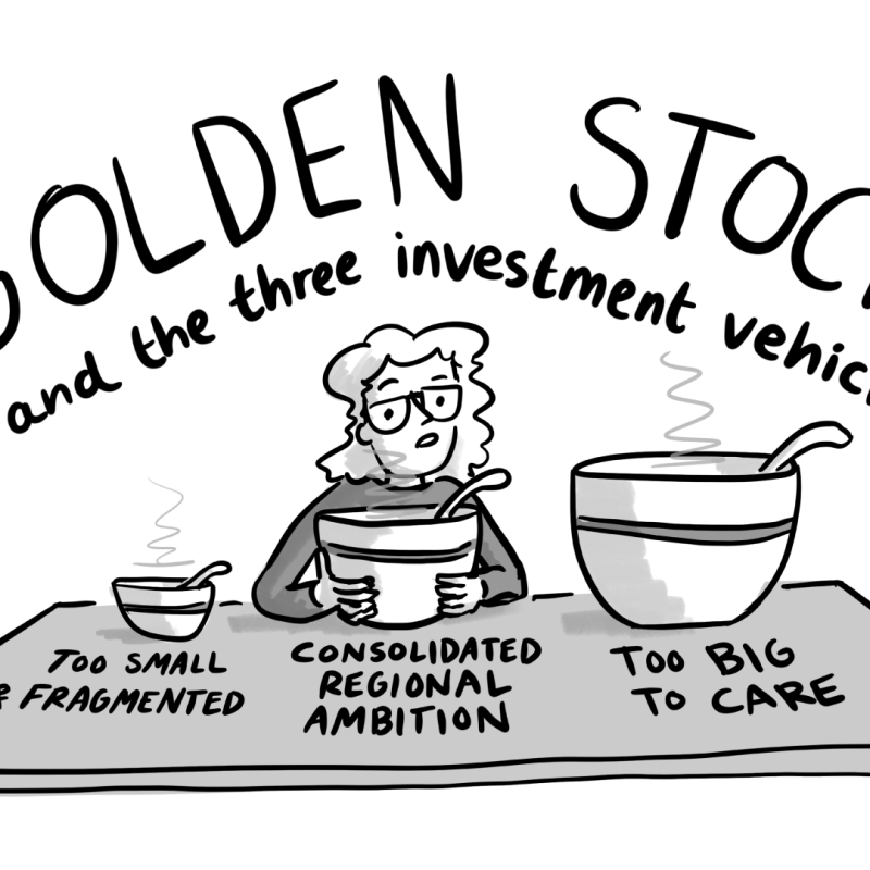 Goldenstocks and the three investment vehicles
