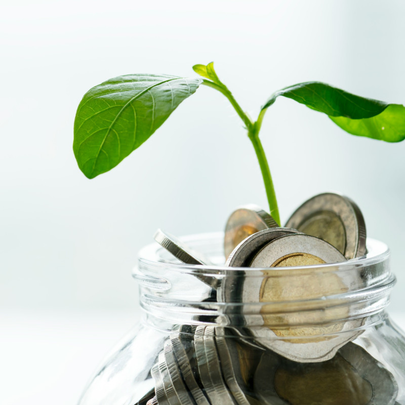 curated-lifestyle-Hb1MaYLCHcc-unsplash (1) (1)